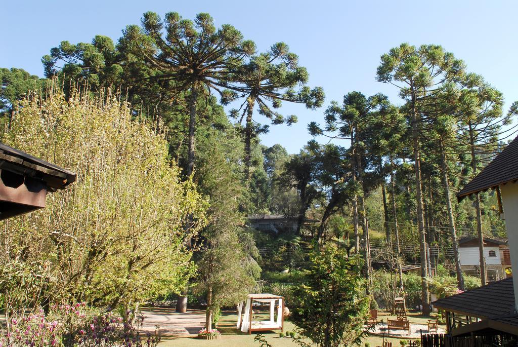 Da Pedra